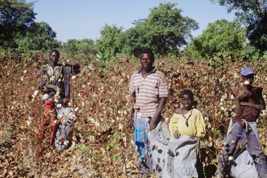 Familie bei der Arbeit in einem Baumwollfeld in Mali, 2002 © Olivier EPRON