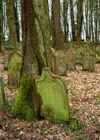 Roman Eisele, Waibstadt Jüdischer Friedhof